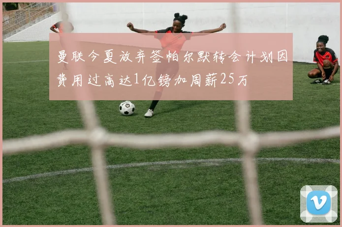 曼联今夏放弃签帕尔默转会计划因费用过高达1亿镑加周薪25万